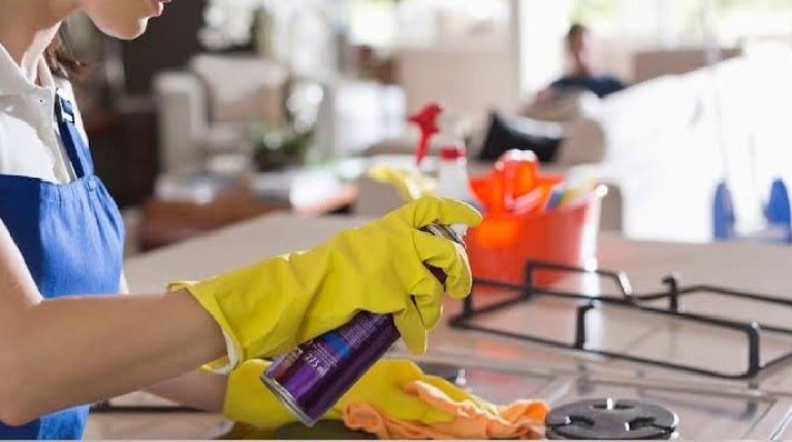 ev temizligi nasil yapilmalidir